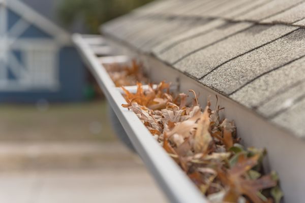 Leaf Barrier Installation in Saint Paul